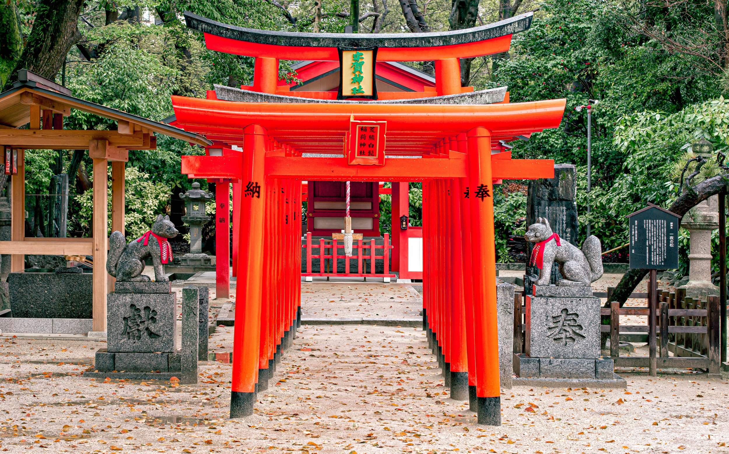 🌳 스미요시 자연공원(스미요시 시젠코엔) 이미지 6